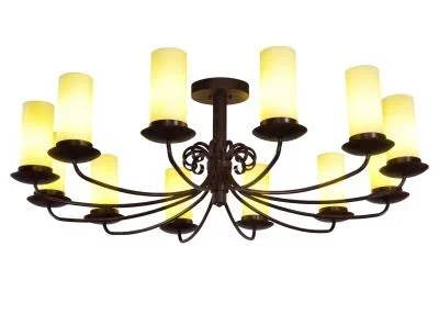12 Light Chandelier022830