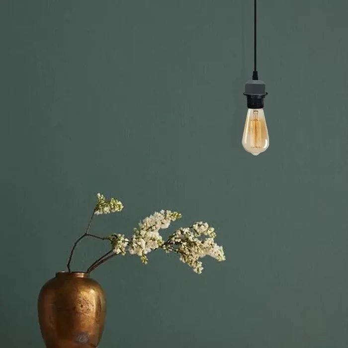 2Pack Pendant Light with E27 Lamp Holder and PVC Cable~4231