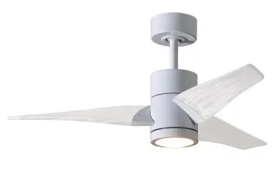 42″Ceiling Fan9369887