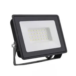 Bright Source 30w 6500k LED Floodlight – Daylight