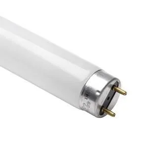 Casell 18w T8 600mm 2 Foot Colour:83