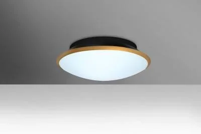 Ceiling Mount3365760
