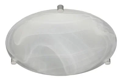 Ceiling Mount678318