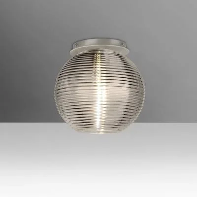 Ceiling Mount9829717