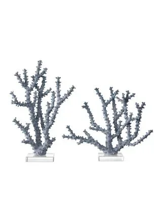 Coral Set of 29575918