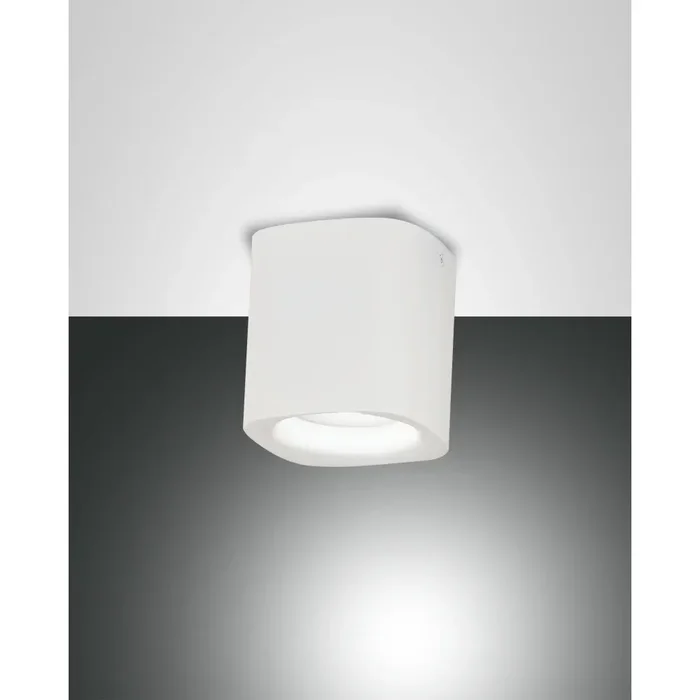 Fabas Luce Smooth spot white, 1-light source