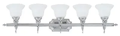 Five Light Bath Vanity