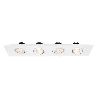 Four Light Downlight
