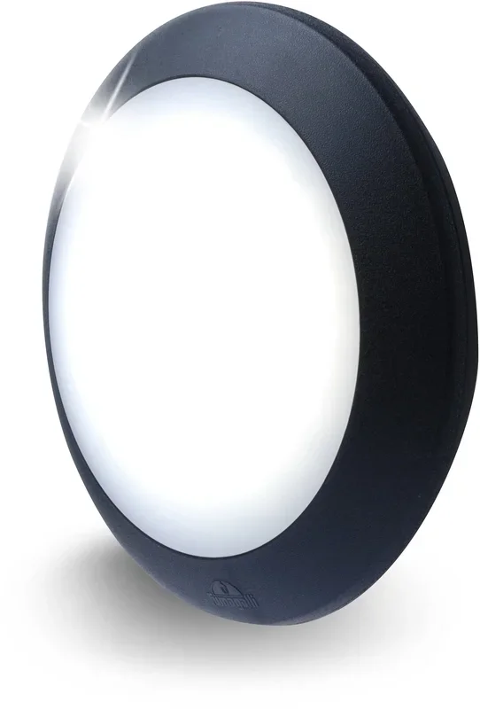 Fumagalli Asbac 1B2.000.AY.E1R Berta 11W 3K LED Bulkhead Bk