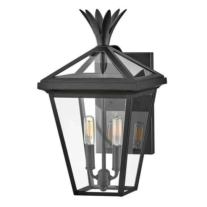 Hinkley Palma 2lt Medium Wall Lantern HK-PALMA-M-BU