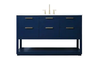 Larkin SIngle Bathroom Vanity (VF19254BL)