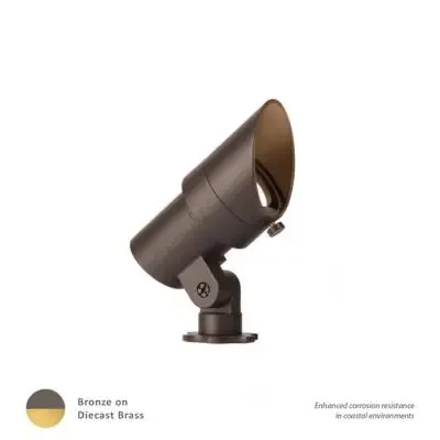 LED Accent Light