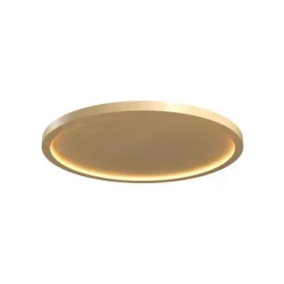 LED Ceiling Mount