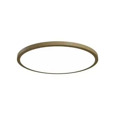 LED Ceiling Mount