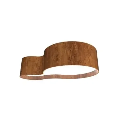 LED Ceiling Mount