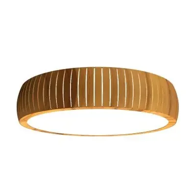 LED Ceiling Mount