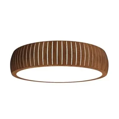 LED Ceiling Mount
