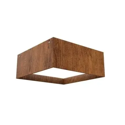 LED Ceiling Mount