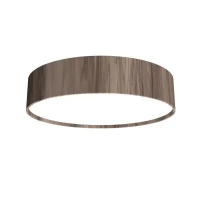 LED Ceiling Mount