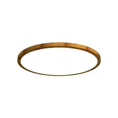 LED Ceiling Mount
