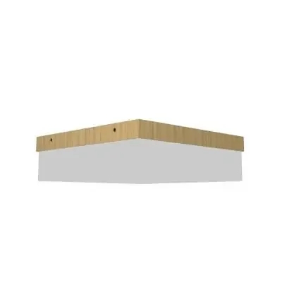 LED Ceiling Mount