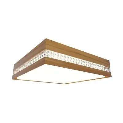 LED Ceiling Mount