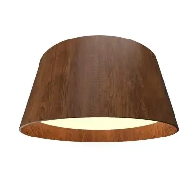 LED Ceiling Mount