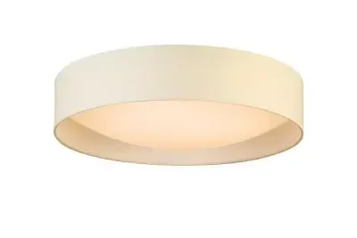 LED Ceiling Mount