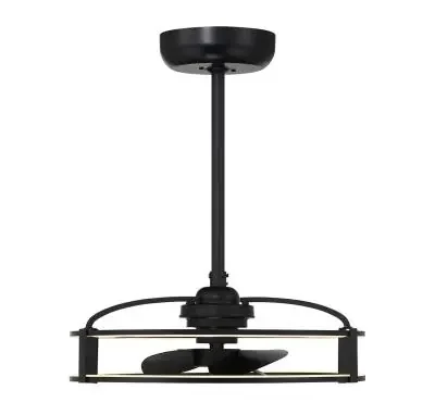 LED Fan D‘Lier