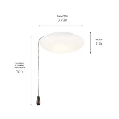 LED Fan Light Kit (380941)