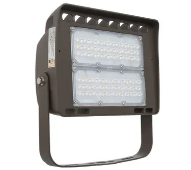 LED Flood Light (LF4-80CW-TR)