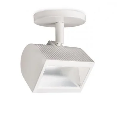 LED Flood Light930793