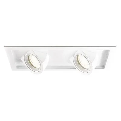 LED Multiple Two Light Trim with Light Engine074924