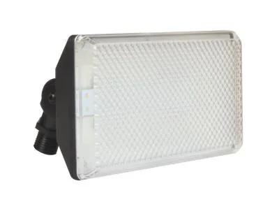 LED Outdoor Flood904351