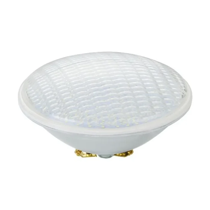 LED PAR56 20W 12V Screw 6500K 120Deg Schiefer