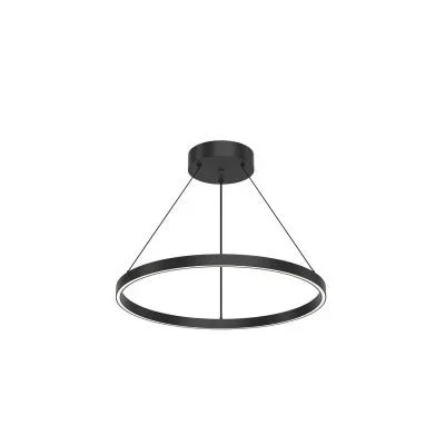 LED Pendant2532005