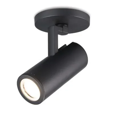 LED Spot Light481241