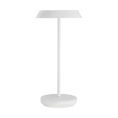 LED Table Lamp