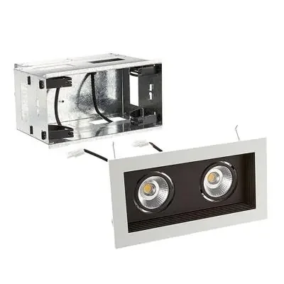 LED Two Light Remodel Housing with Trim and Light Engine