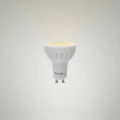 Light Bulb