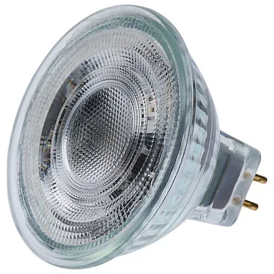 Light Bulb (S12364)
