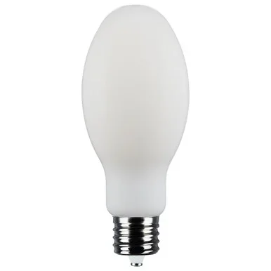 Light Bulb (S13188)