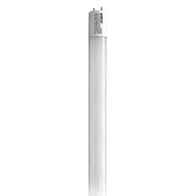 Light Bulb4431925