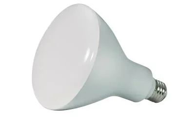 Light Bulb4433992