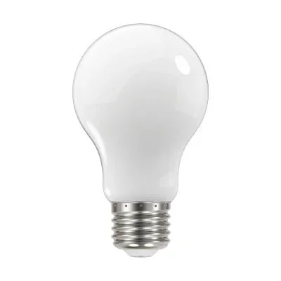 Light Bulb6314329