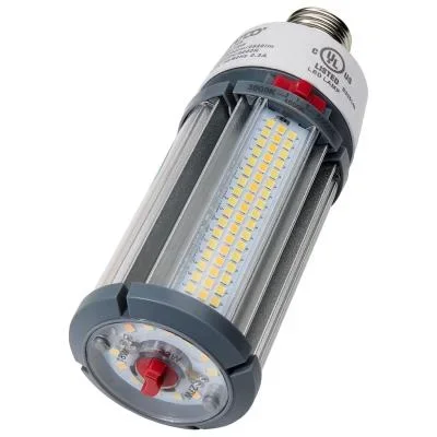 Light Bulb6337293