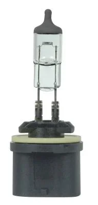 Light Bulb830646