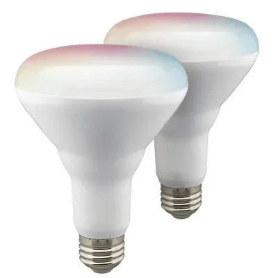 Light Bulb8569568