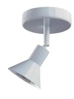 Line Voltage Directional Spot Light