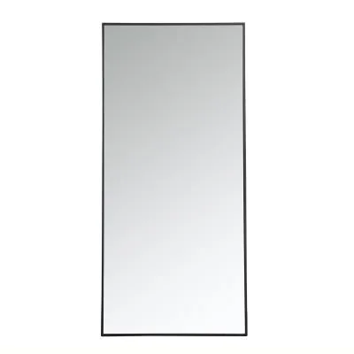 Mirror8899170